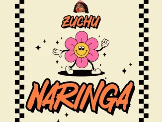 Zuchu Naringa 1