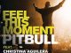 Pitbull Feel This Moment