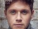 Niall Horan Flicker