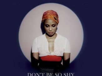 Imany Dont Be so Shy Filatov Karas Remix