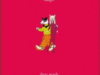 Badger Natasha Bedingfield These Words