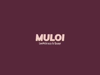 Leemckrazy QuayR Muloi ft. Pushkin RSA