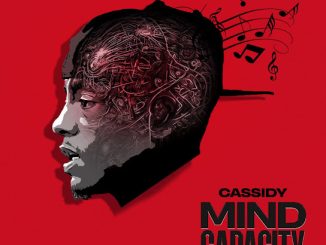 cassidy mind capacity