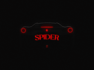 GIMS DYSTINCT SPIDER