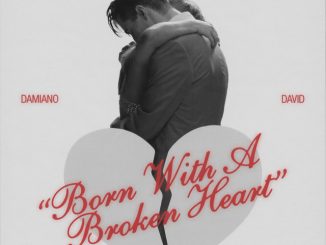 Damiano David Born With a Broken Heart