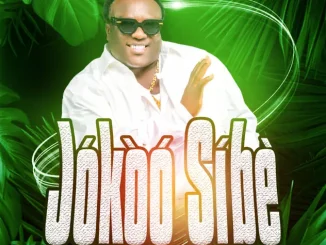 King Dr. Saheed Osupa Jokoo Sibè