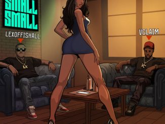 Lexoffishall Vclaim Small Small
