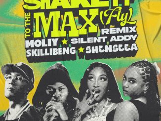 MOLIY Silent Addy Skillibeng Shenseea Shake It To The Max FLY Remix