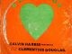Calvin Harris Clementine Douglas Blessings