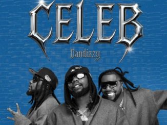 DanDizzy Celeb