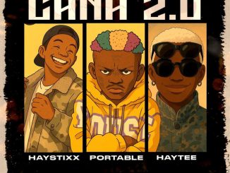 Haystixx Portable Haytee CANA REMIX