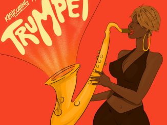 Kashcoming Dwillsharmony Trumpet