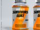 Meek Mill Survivors Guilt ft. G Herbo