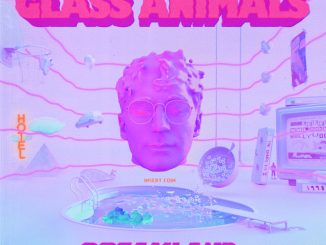 Glass Animals Heat Waves