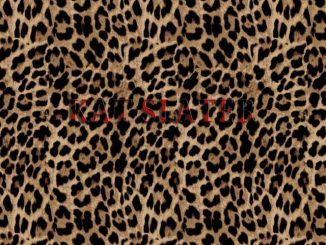 Tim Duzit Kat Slater Native Remedies Remix
