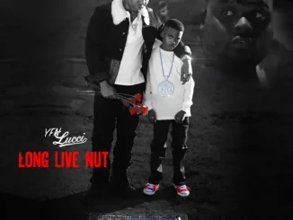 YFN Lucci – Heartless ft. Bigga Rankin Rick Ross