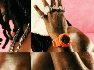 Minz – Agenda Ft. 255