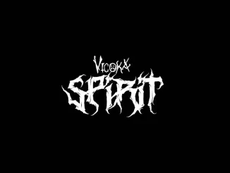 Vicoka SPIRIT ft Wizard Chan