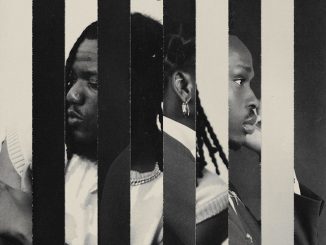 Fireboy DML, Pheelz - ILWY