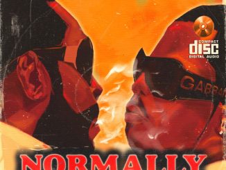 Show Dem Camp, Joey B, Boj - Normally