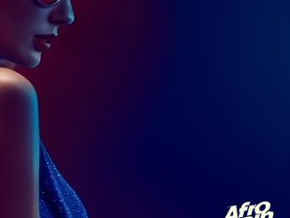 AfroSpin - The Fate Of Ophelia Afrobeats