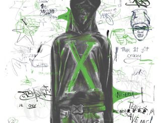 Zaylevelten - Guide Pass