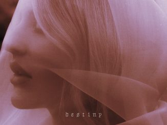 Ellie Goulding - Destiny