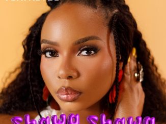 Yemi Alade - Shawa Shawa (Ashawo)