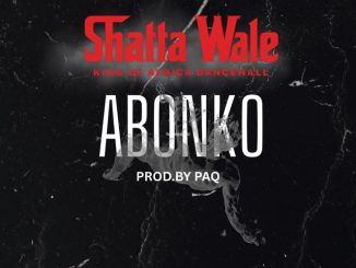 Shatta Wale - Abonko