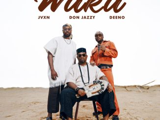 Mavins, Don Jazzy, Jvxn, Deeno - Waka